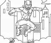 Coloriage Ant-Man et les fourmis de dessin anim&eacute;