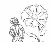 Coloriage et dessins gratuit Ant-Man pr&eacute;s d'une fleur à imprimer