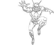 Coloriage Ant-Man r&eacute;aliste qui attaque
