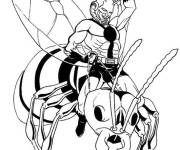 Coloriage Ant-Man sur le dos d'une fourmi