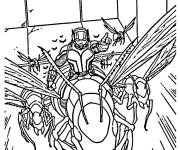 Coloriage Ant-Man sur une fourmi