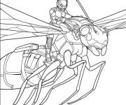 Coloriage Ant-Man sur une fourmi en mission