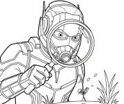 Coloriage Ant-Man utilise la loupe pour regarder la fourmi
