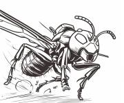 Coloriage Anthony compagne d'Ant-Man