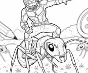 Coloriage Fourmi transporte l'homme fourmi