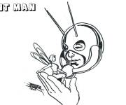 Coloriage George Perez en role de l'homme fourmi