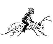 Coloriage H&eacute;ros Ant-Man sur la fourmie
