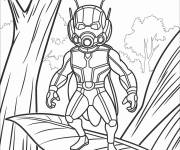 Coloriage Homme fourmi dans la foret