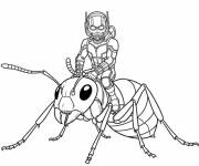 Coloriage Illustration de Ant-Man sur la fourmi