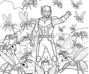 Coloriage Les fourmis pour aider Ant-Man