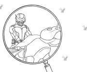 Coloriage Mandala Ant-Man et fourmi