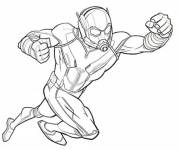 Coloriage Superh&eacute;ros Ant-Man en sketch