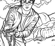 Coloriage et dessins gratuit harry potter à dessiner à imprimer