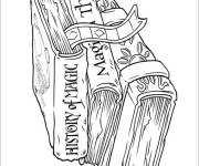 Coloriage livres des sortil&egrave;ges harry potter