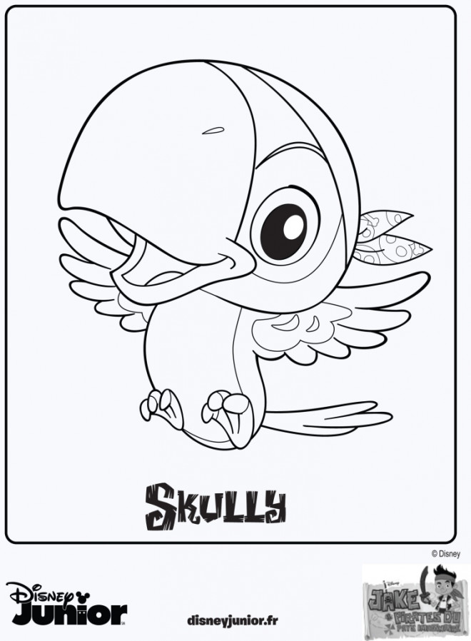 Coloriage Jack et les Pirates Skully dessin gratuit à imprimer jack et les pirates skully