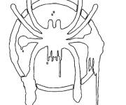 Coloriage et dessins gratuit Logo de Miles Morales à imprimer