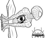 Coloriage Miles Morales de Spiderman