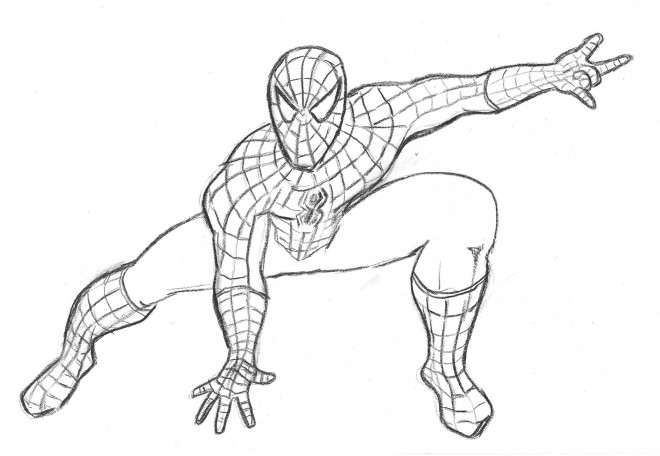 spiderman au crayon 9077