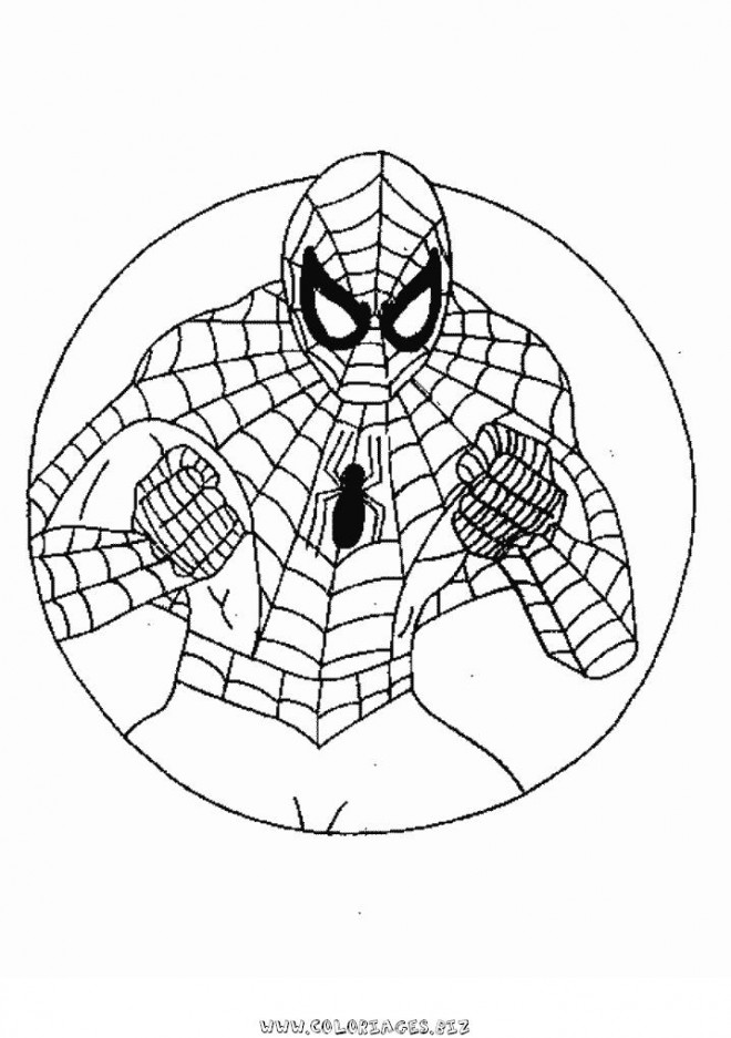 Coloriage et dessins gratuits Spiderman à colorier à imprimer