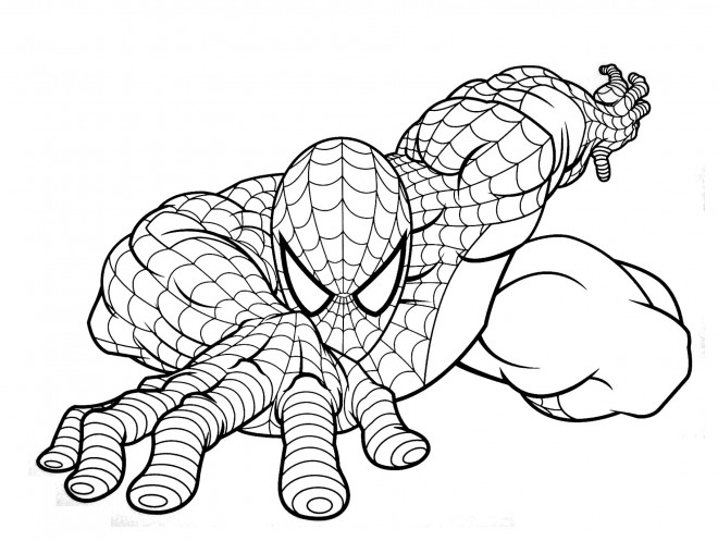 Coloriage et dessins gratuits Spiderman à télécharger à imprimer