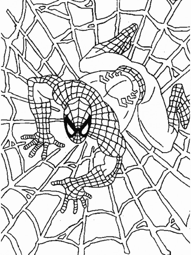 Coloriage Spiderman Couleur Dessin Gratuit à Imprimer