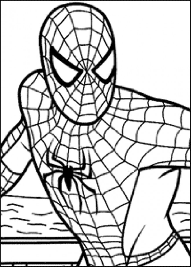 Coloriage Spiderman en vecteur dessin gratuit à imprimer