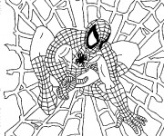 Coloriage Spiderman et Toile