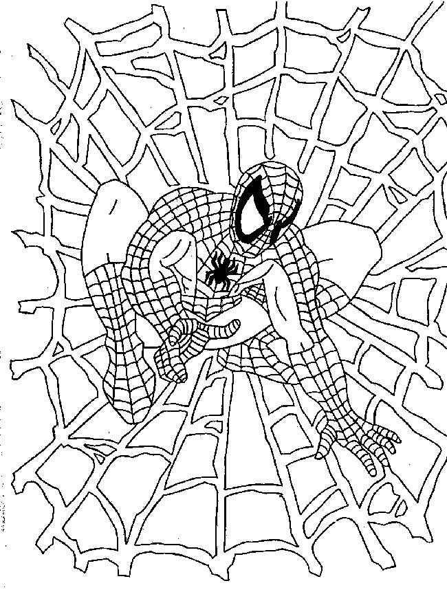 Coloriage Spiderman et Toile dessin gratuit à imprimer