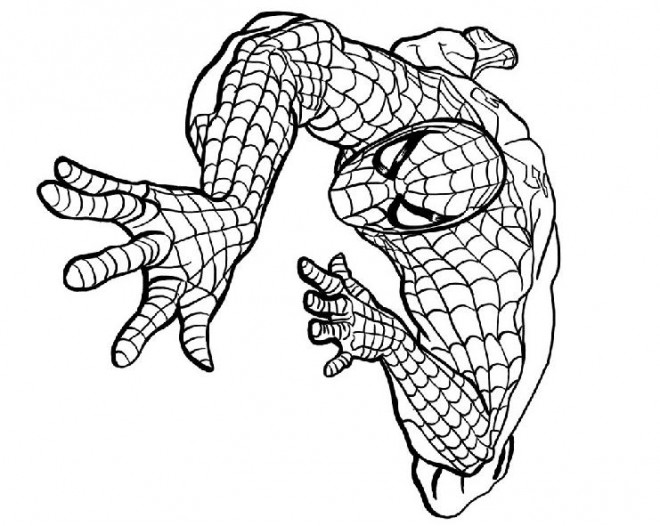 Coloriage et dessins gratuits Spiderman maternelle à imprimer