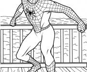 Coloriage et dessins gratuit Spiderman Super Héro à imprimer