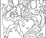 Coloriage Tarzan collecte Les Fruits