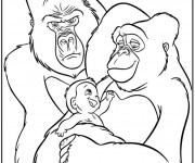 Coloriage Tarzan &eacute;lev&eacute; par des grands singes