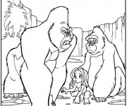 Coloriage Tarzan tout bébé et Le clan de gorilles