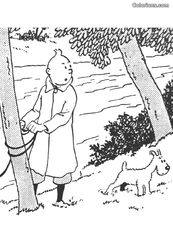 Coloriage et dessins gratuits Tintin Le Petit découvreur à imprimer
