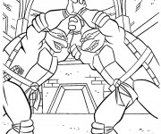 Coloriage Raphael et Donatello s'entra&icirc;nent