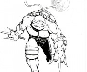 Coloriage Tortue Ninja artistique