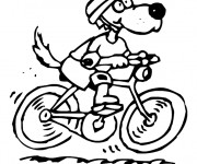 Coloriage Le Chien conduit sa Bicyclette