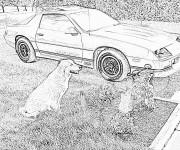 Coloriage Chevrolet 45