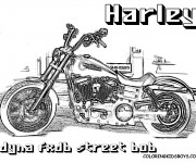 Coloriage Harley Davidson Dyna Street Bob