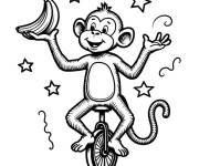 Coloriage Singe jongleur sur monocycle