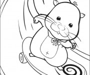 Coloriage Animal Skateur