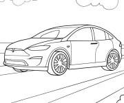 Coloriage Illustration Testa