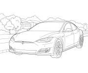 Coloriage Tesla ami de la nature