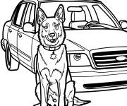 Coloriage et dessins gratuit Chien de police devant la voiture de police à imprimer